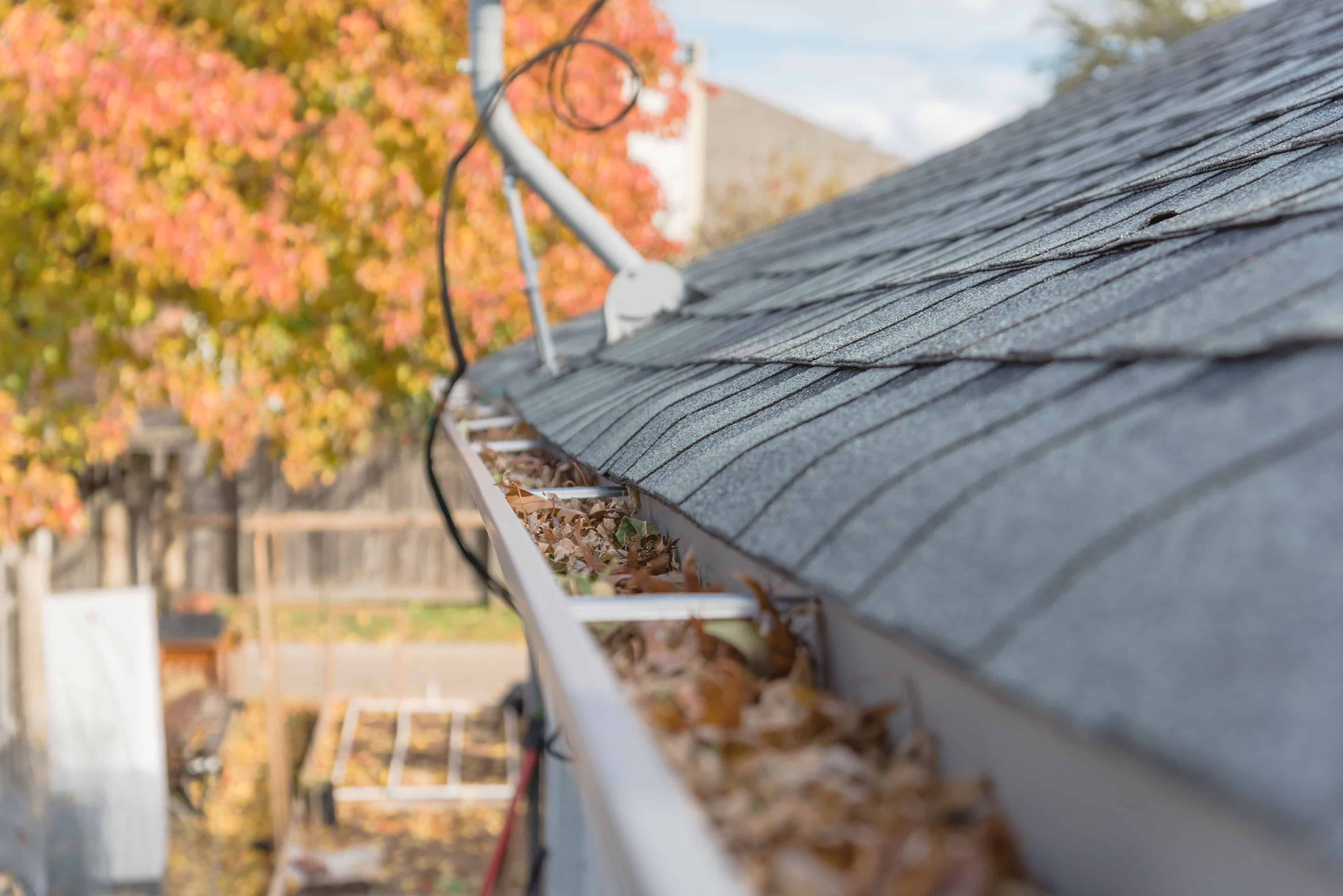 Gutter Cleaning image