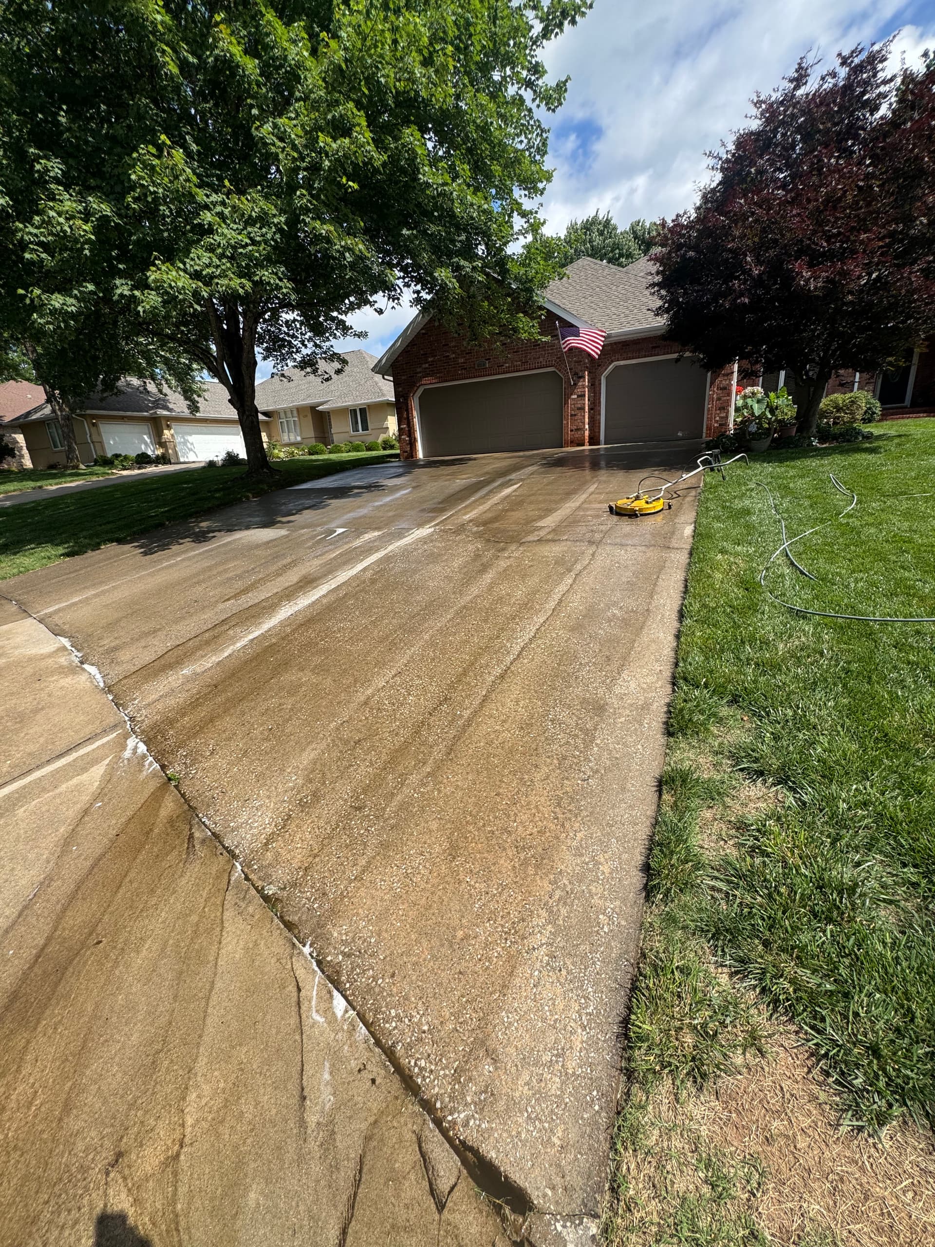 What Shade Trees Do to a Concrete Driveway image