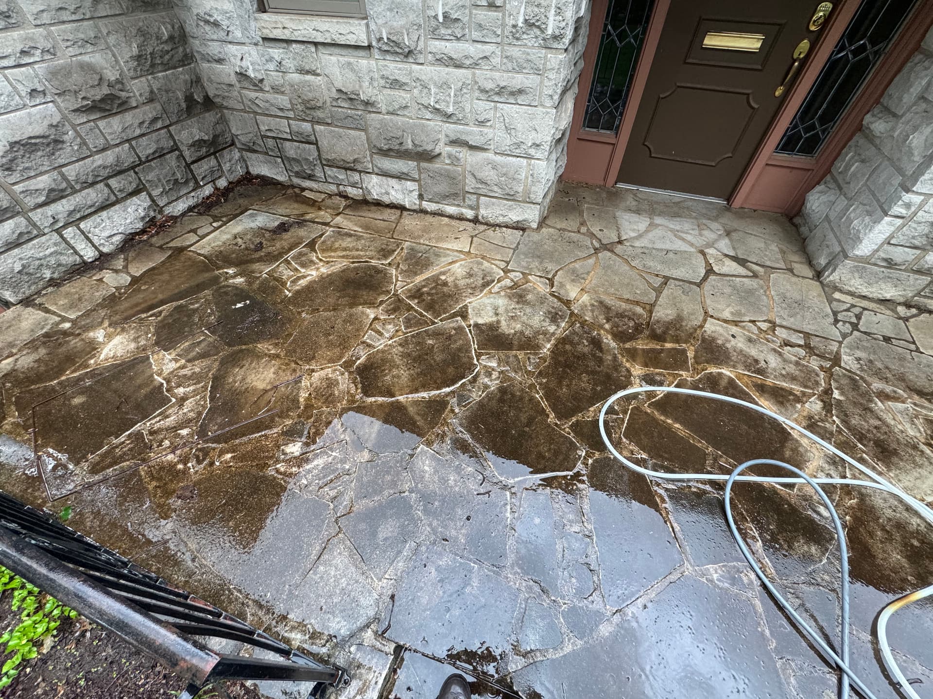 Full Property Pressure Wash in Springfield - Deck, Driveway, and Patio