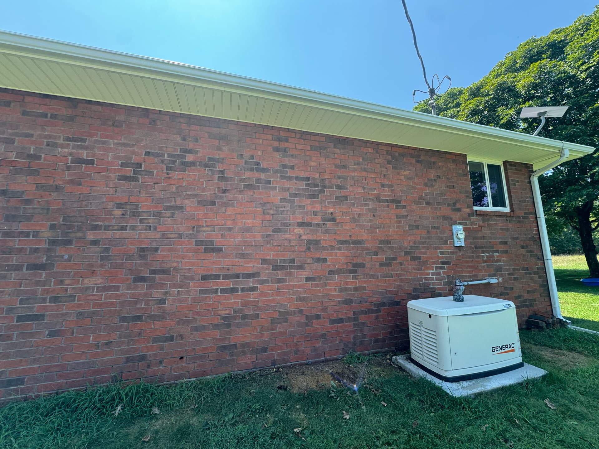 Gallery photos for Full Soft Wash on a Brick Home With Algae and Mud Dauber Nests: Image #3